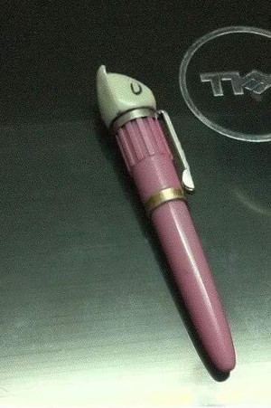 Bút máy con mèo là cây bút đắt giá lúc bấy giờ