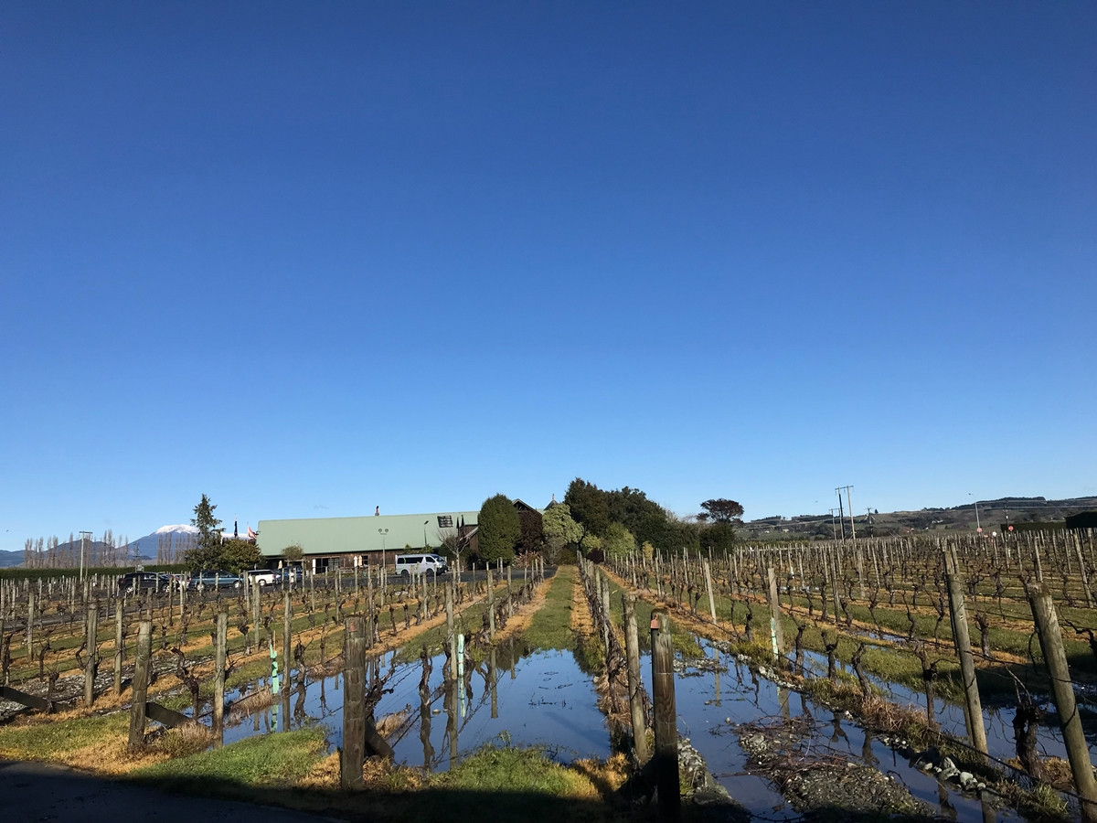 Những hình ảnh về New Zealand được ghi lại trong chuyến trải nghiệm du học ở đất nước này. Những hình ảnh về New Zealand được ghi lại trong chuyến trải nghiệm du học ở đất nước này.