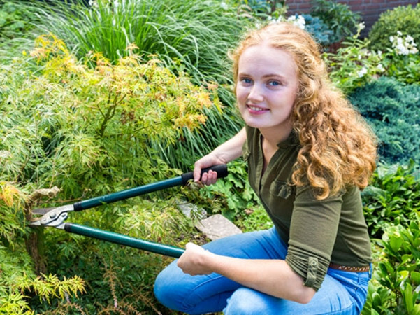 Trồng cây, làm vườn là hoạt động cực kỳ thư giãn, vì bạn ở giữa thiên nhiên mà.