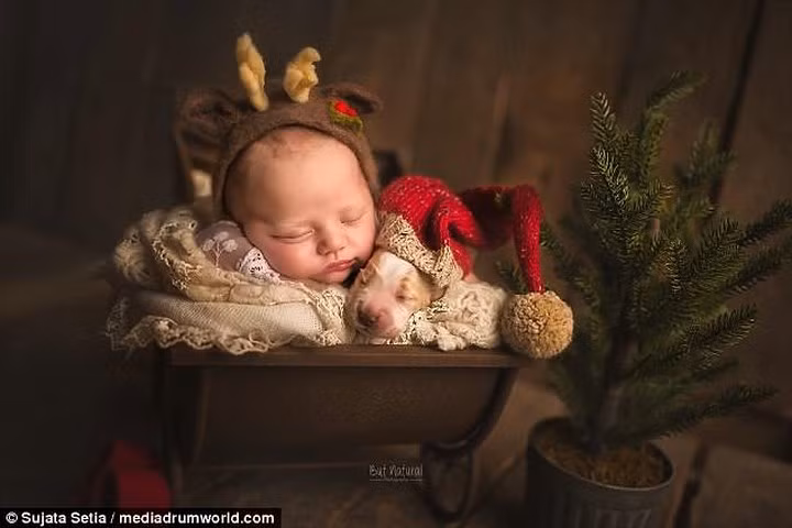 Trước khi chụp ảnh, cô phải mất vài phút để chỉnh lại tư thế của mẫu nhí và thú cưng. Ảnh: Mediadrumworld.