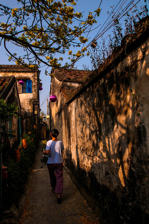 Con hẻm nhỏ Hội An với màu vàng từ sơn và màu rêu của thời gian, ấy vậy lại là dấu ấn đặc biệt của nơi đây.