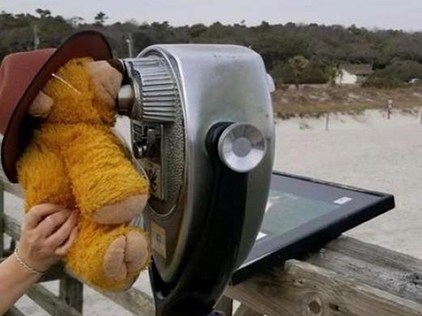 Gấu bông được xem xét mọi thứ, có khác gì một cậu bé bình thường đâu!