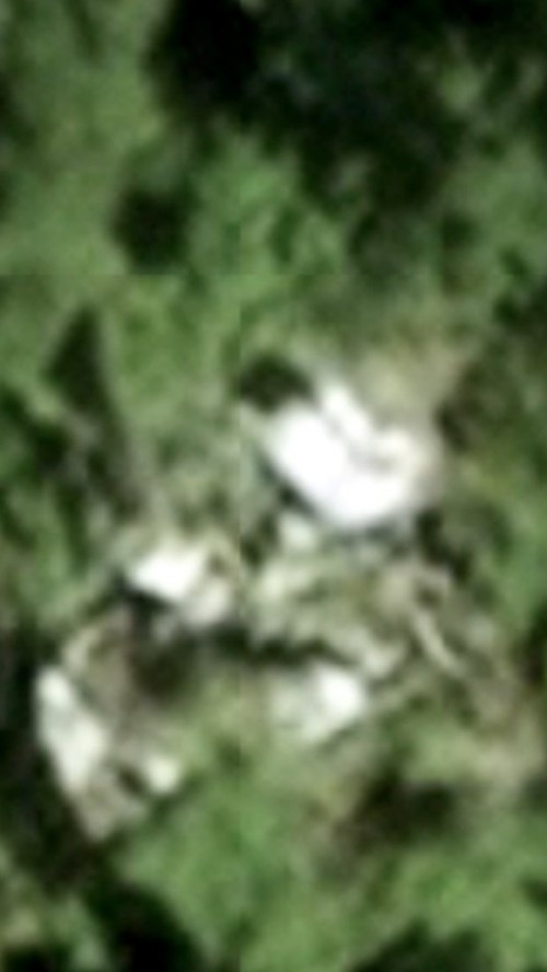 Hình ảnh mà thiếu niên 17 tuổi tin là xác MH370. Ảnh: Daily Star.