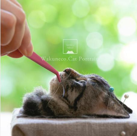 Cẩn thận gắn râu cho mèo.