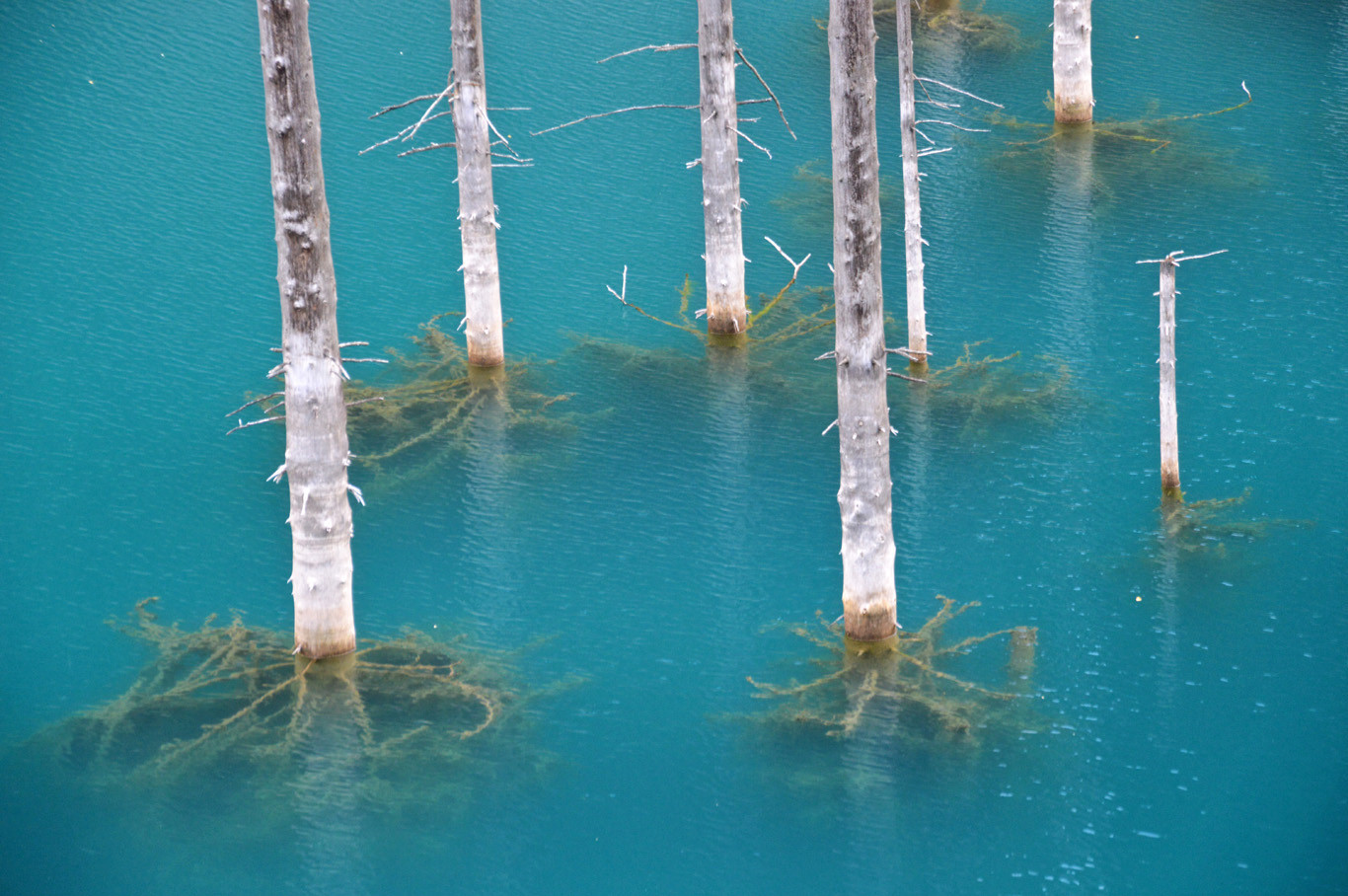 Ảnh: Adventurous Travels.