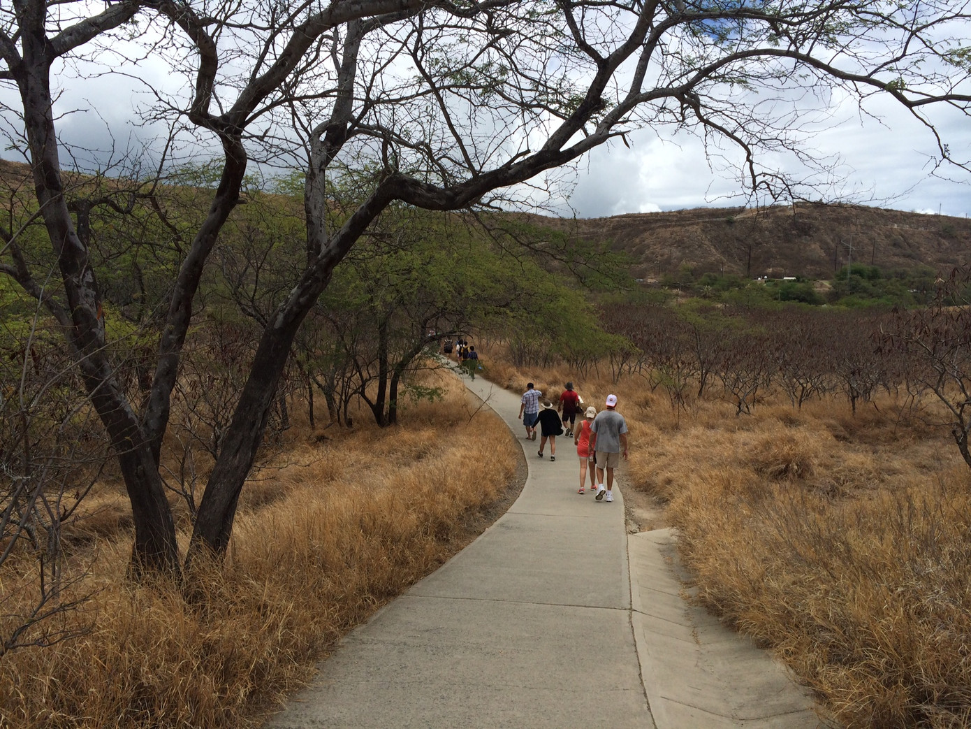 Mùa Hè miên man nắng.
