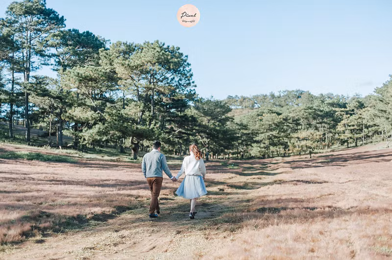 Ảnh: Pixel Photo