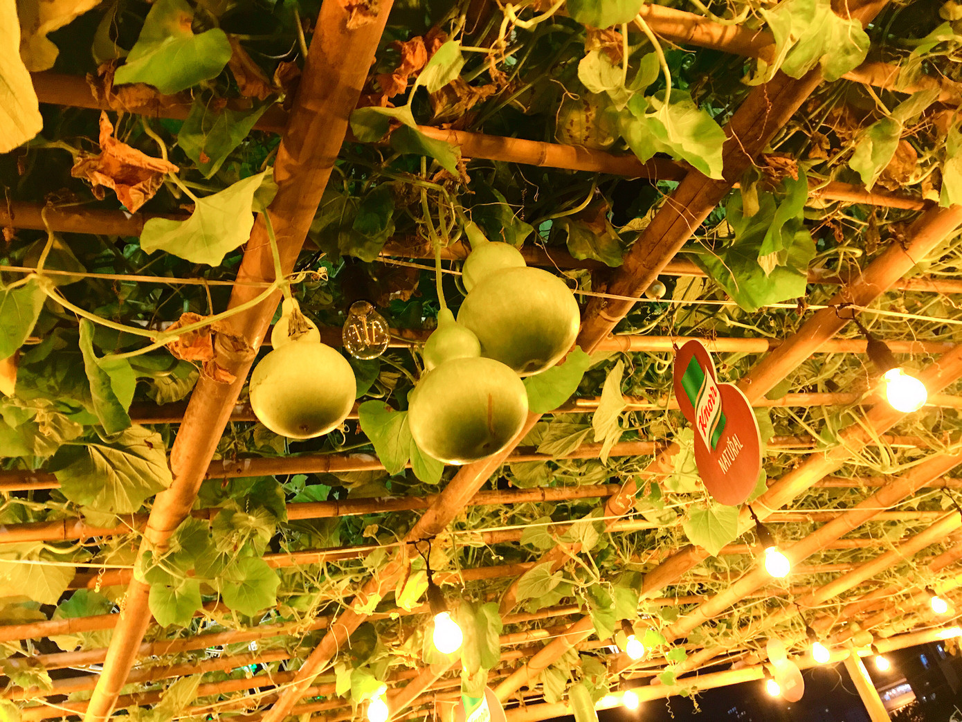 Bầu hồ lô lúc lỉu