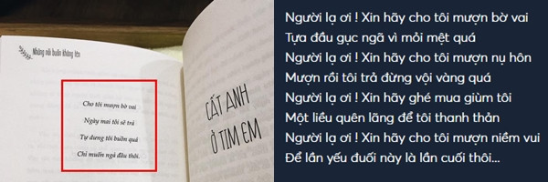 Trong bài thơ của tác giả Linh Linh có câu: "Cho tôi mượn bờ vai/ Ngày mai tôi sẽ trả/ Tự dưng tôi buồn quá/ Chỉ muốn ngả đầu thôi" thì ca khúc Người lạ ơi cũng có câu hát tương tự "Cho tôi mượn bờ vai/ Tựa đầu gục ngã/ Vì mỏi mệt quá".