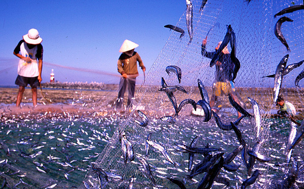 Nước mắm là một trong những đặc sản nổi tiếng của Phú Quốc.