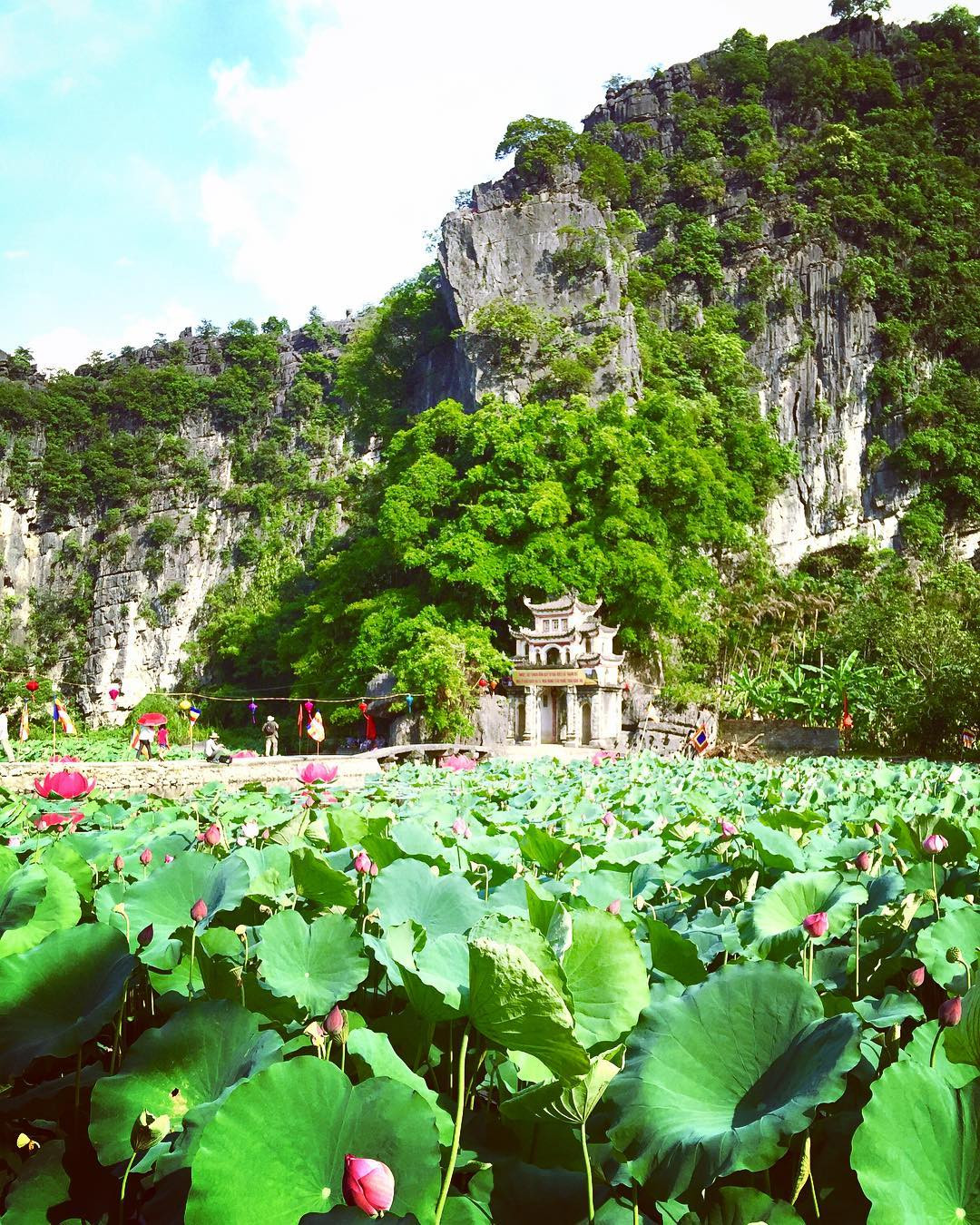 Phía trước chùa Bích Động là một "thiên đường" sen. (Ảnh: @trucnguyen2015) Phía trước chùa Bích Động là một "thiên đường" sen. (Ảnh: @trucnguyen2015)