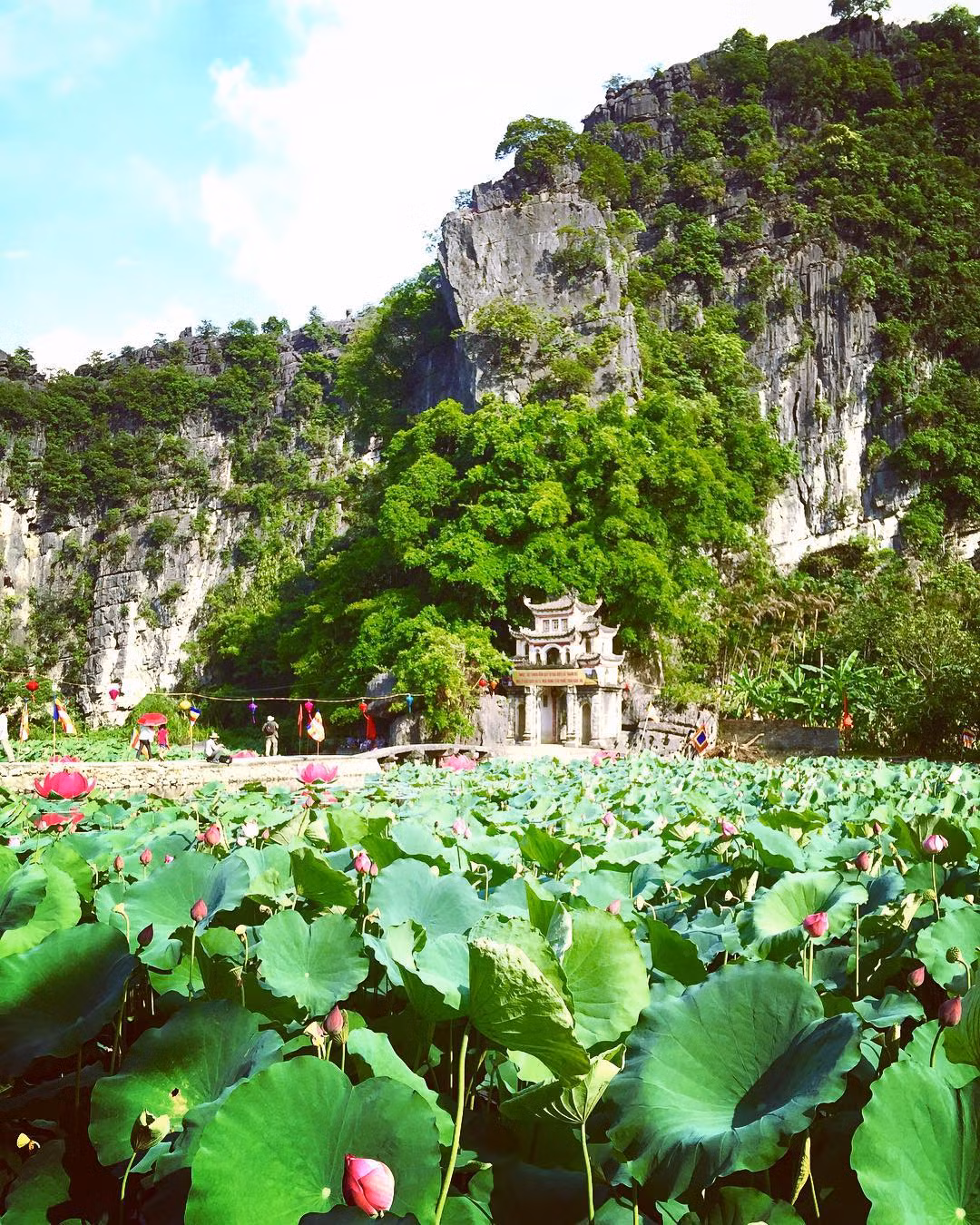 Phía trước chùa Bích Động là một "thiên đường" sen. (Ảnh: @trucnguyen2015)