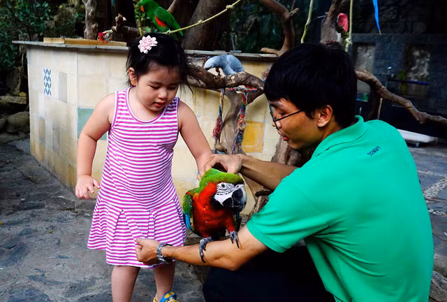 Quán thu hút nhiều gia đình có con nhỏ tới vui chơi.