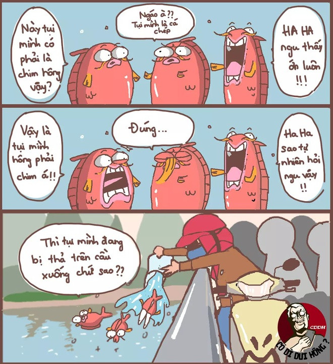 Ảnh: Có gì dui hông?.
