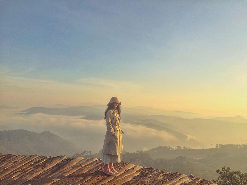 Cầu gỗ săn mây trước khi ngừng hoạt động là một nơi ghé tới rất được lòng giới trẻ. (Ảnh: @ptmh.99)