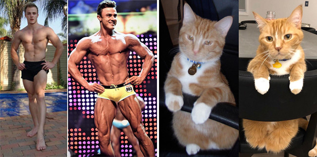 Ảnh: @justenp12_wbffpro, @zylerthecat