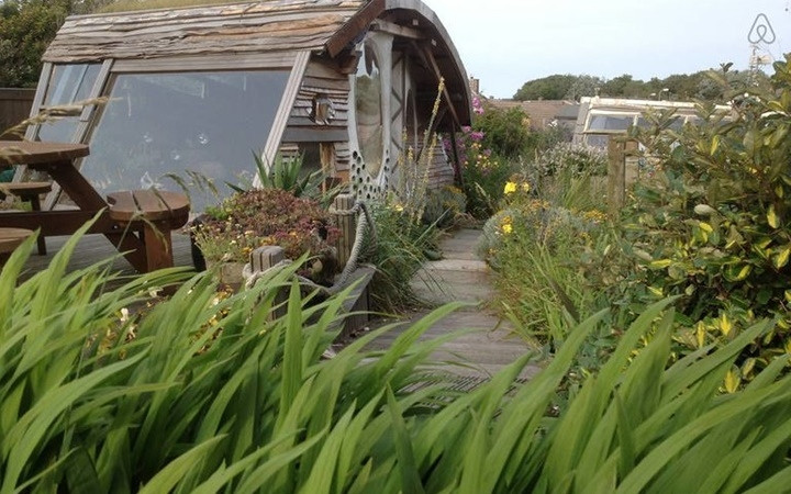 Ngôi nhà cú mèo nằm giữa vườn cây xanh ngát.