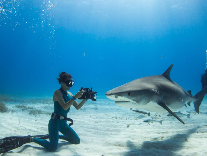 Để giúp mọi người có cái nhìn thiện cảm hơn về cá mập, Madison đã cùng những đồng nghiệp của mình cho ra đời những thước phim tài liệu mang tên Shark Girl.