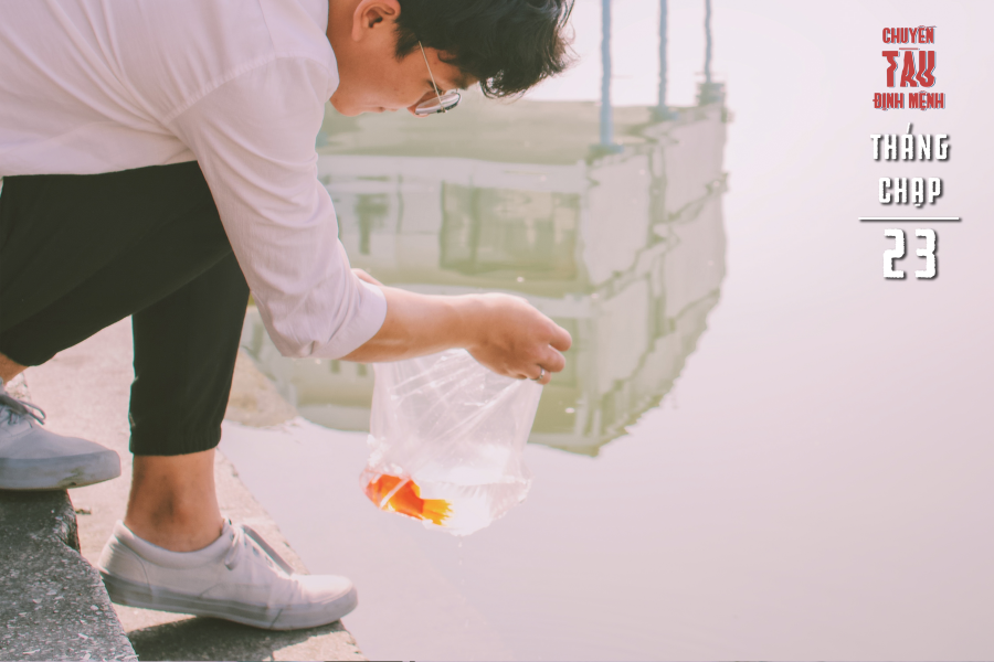 Phóng sinh cá chép ngày ông Công ông Táo không chỉ là một nét đẹp văn hóa, mà còn thể hiện sự từ bi quý báu của người dân Việt Nam.