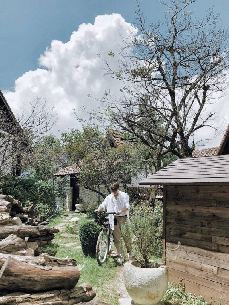 Trong ngày thứ hai, Doãn Bắc đã có cả nghìn bức ảnh sống ảo tại Sapa Jade Hill (cách Thị trấn khoảng 4km) với vé tham quan 150.000 đồng/người.