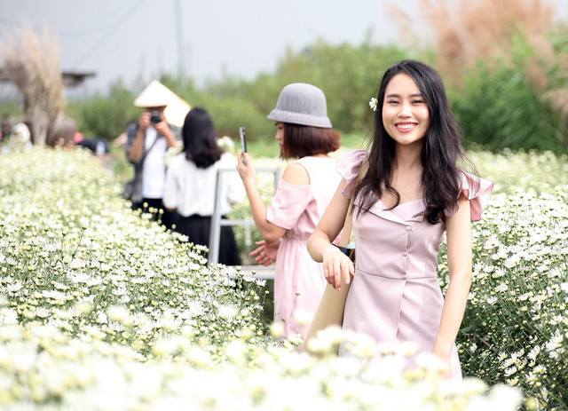 Một bạn trẻ tranh thủ ngày nghỉ cùng bạn bè đến chụp những bức ảnh cho mùa cúc họa mi.