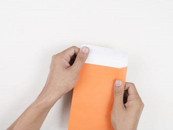 Wendy đã để lại một bức tranh vẽ bãi biển và chú chim choắt.