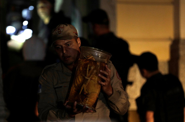 Bộ sưu tập lịch sử thiên nhiên của bảo tàng bao gồm các xương khủng long quan trọng và bộ xương một phụ nữ 12.000 năm tuổi - bộ xương cổ nhất từng được tìm thấy tại châu Mỹ.