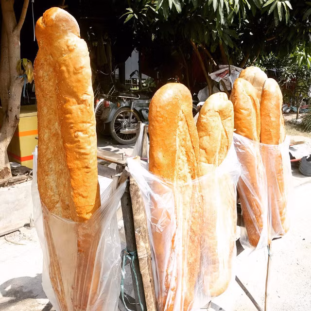 Khác với loại bánh mỳ thường, bánh mỳ "khổng lồ" dài từ 1-1.3m và nặng khoảng 3kg. (Ảnh: Daikabao)
