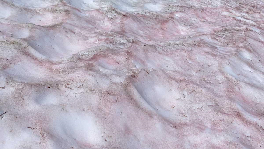 Ảnh: Travelandleisure.