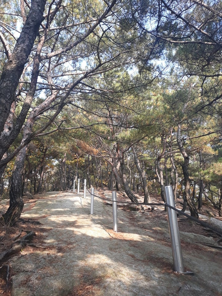 Không phải du xuân lễ hội, năm mới người Hàn Quốc thường leo núi để đón ánh mặt trời đầu tiên! ảnh 9