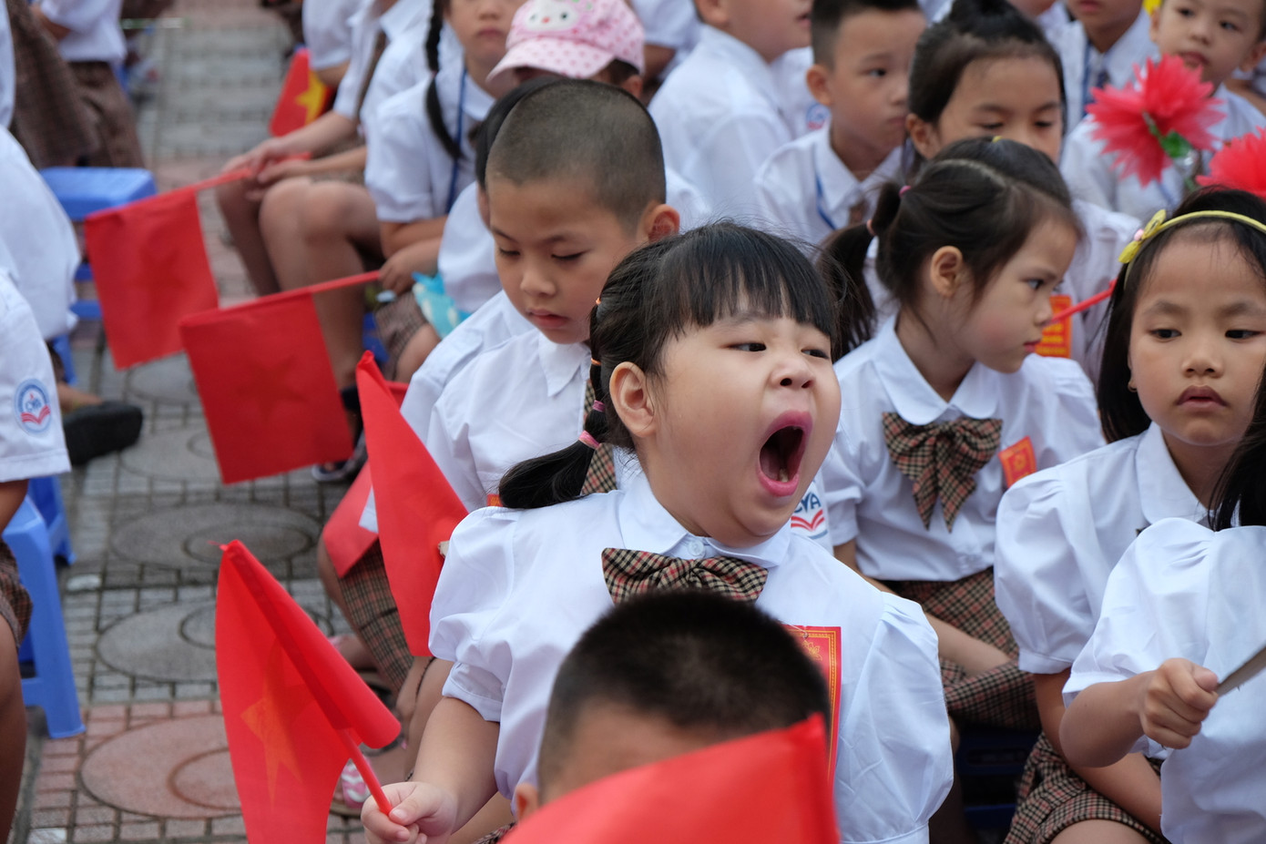 Nhiều bạn khác, đang quen với việc ngủ đẫy giấc suốt mùa hè, đã lập tức thể hiện trạng thái ngái ngủ một cách không cần che chắn...