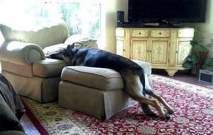 Chân không chạm ghế tức là không bị mắng.