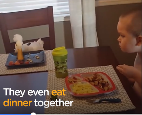 Ăn cũng phải ăn cùng nhau.