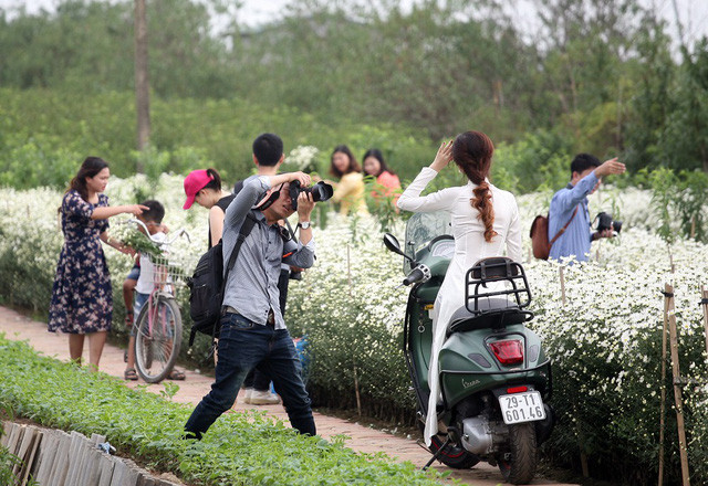 Giá vé mỗi người vào những vườn cúc chỉ từ 20.000 - 50.000 đồng/ người tùy địa điểm.