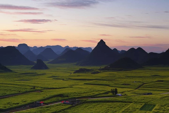 Luoping, Vân Nam, Trung Quốc. Những cánh đồng hoa cải với màu xanh lá cây điểm vàng tương phản với bầu trời màu hồng mang đến một cảnh quan tuyệt đẹp.