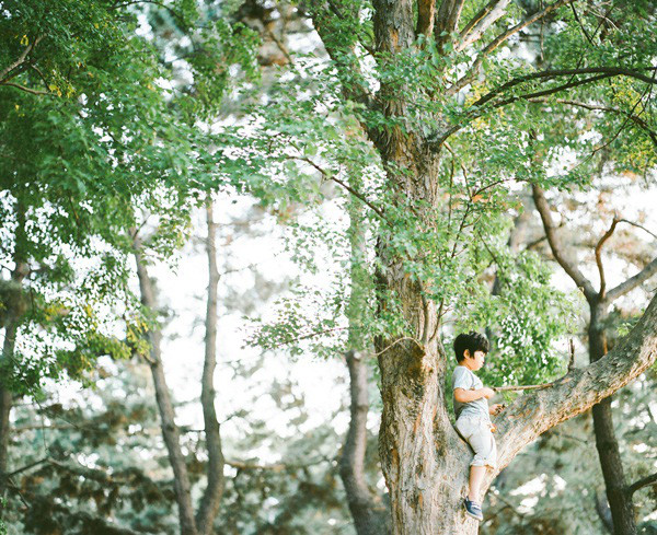 Ảnh minh họa: Hideaki Hamada.