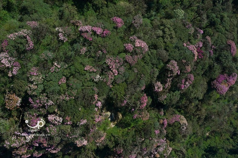 Tất cả tạo thành một bức tranh hùng vĩ, đẹp đến nao lòng. (Ảnh: Travel)