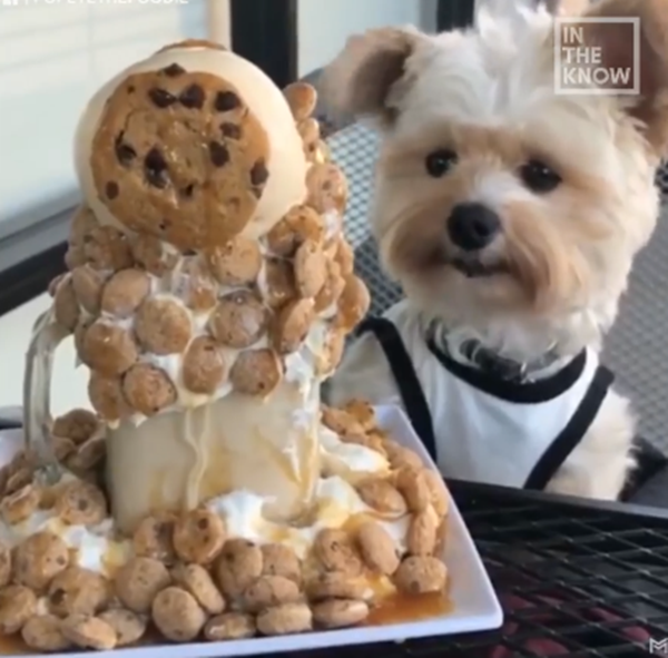 Bữa chiều với món kem này thì lại cần phong cách khác.