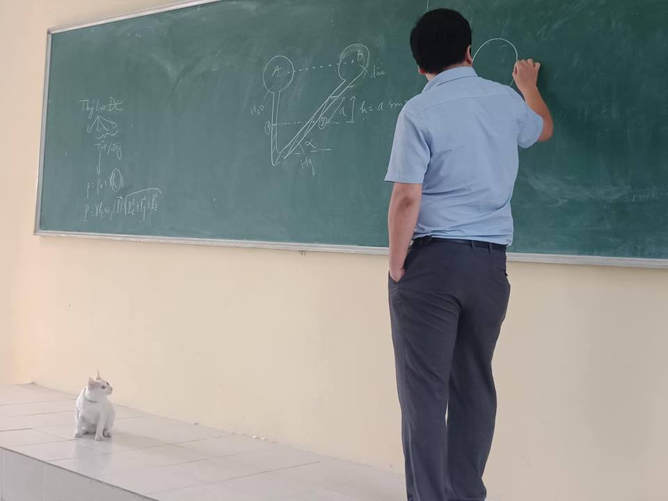 &quot;Thầy vẽ hình gì thế nhỉ, tròn tròn thế này chắc là cơm, thế có cá không nhỉ?&quot;- Facebook Binh Anh bình luận.