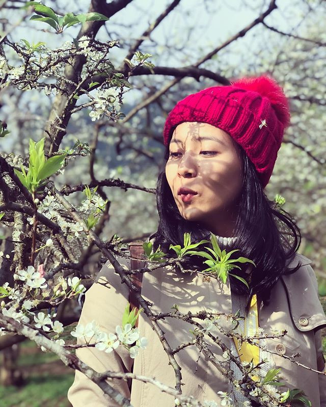 Ảnh: laibichhang. Ảnh: laibichhang.
