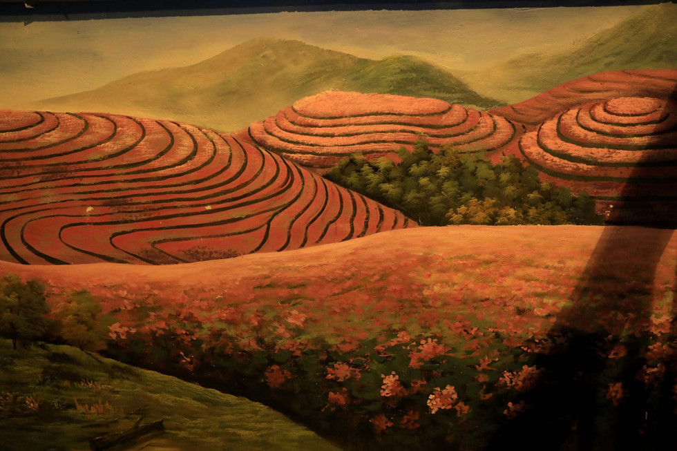 Những bức tường hoa được tạo cảnh như đang ở Đà Lạt thơ mộng. ẢNH: LAM NGỌC