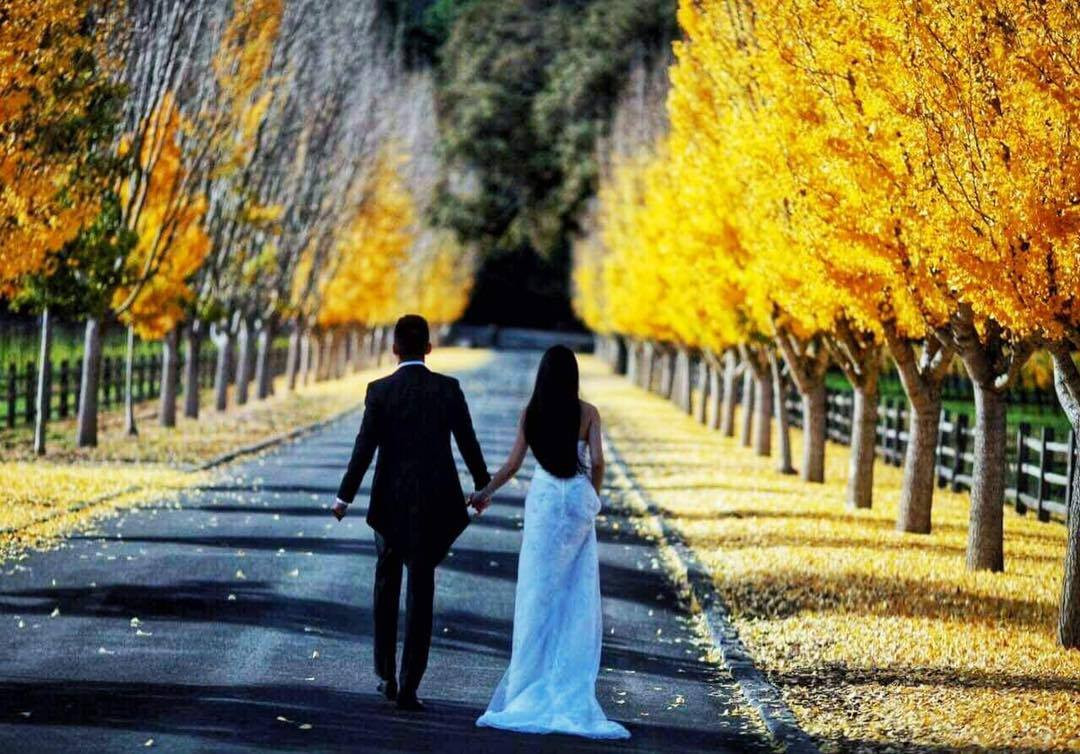 Người hâm mộ gửi những lời chúc hạnh phúc tới gia đình nhỏ. Hy vọng họ luôn nắm chặt tay nhau đến suốt cuộc đời.