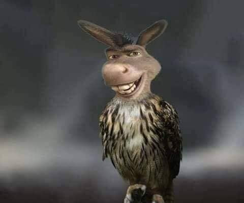 Cú lừa dứt điểm của Công Phượng qua ống kính troller là đây chứ đâu! (Ảnh: Tô Đình Chiến).