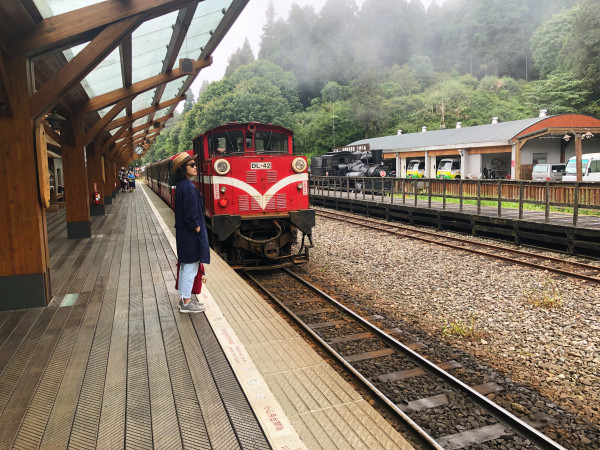 Vì không kịp đặt vé tàu lửa thần thánh trong truyền thuyết nên chụp tạm chiếc ảnh với tàu lửa du lịch, đưa khách từ cổng ngoài vào bên trong khu vực Alishan.