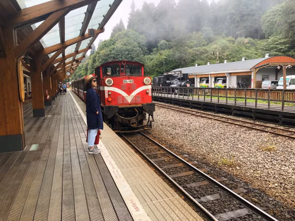 Vì không kịp đặt vé tàu lửa thần thánh trong truyền thuyết nên chụp tạm chiếc ảnh với tàu lửa du lịch, đưa khách từ cổng ngoài vào bên trong khu vực Alishan.