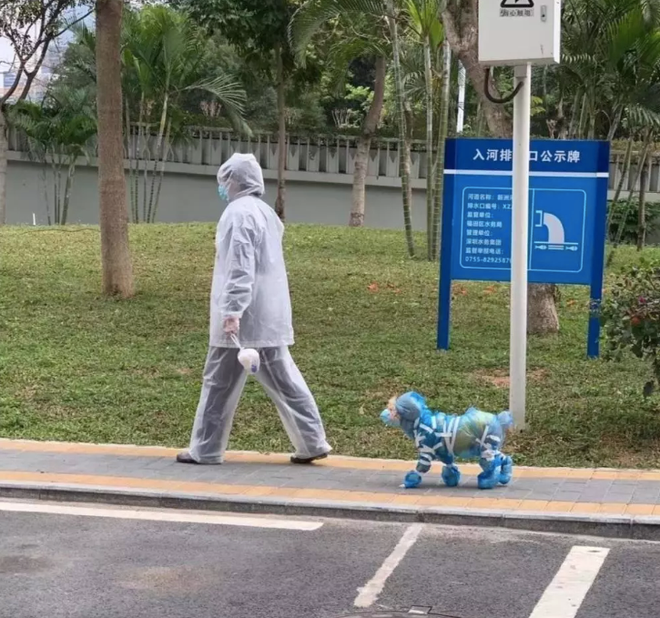 Chủ vật nuôi ở Trung Quốc cho thú cưng mặc đồ bảo hộ kín mít khi đi dạo.