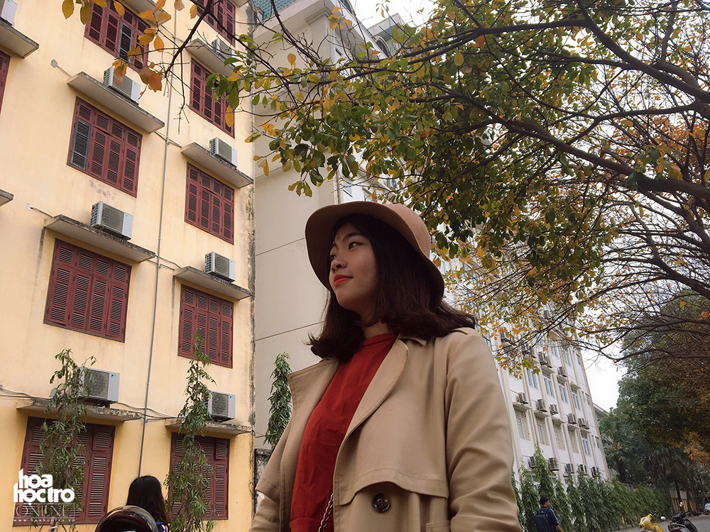 Dọc hai bên con đường là hàng câu lộc vừng ngả màu vàng và hàng cây tùng xanh biếc . (Ảnh: Hải Yến)