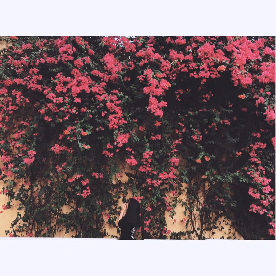 Ảnh: Quỳnh Như.