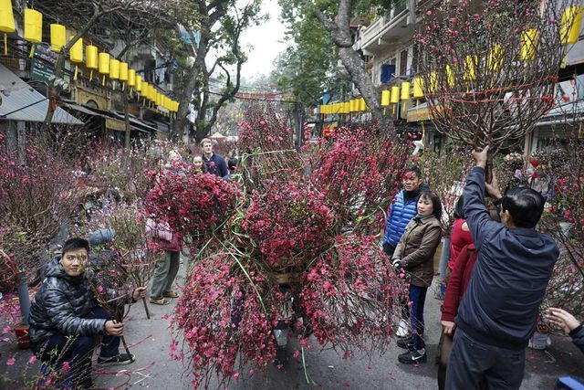 Chợ hoa Hàng Lược luôn tấp nập khách đến mua hàng mỗi dịp Tết đến, Xuân về. Ảnh: Hữu Nghị
