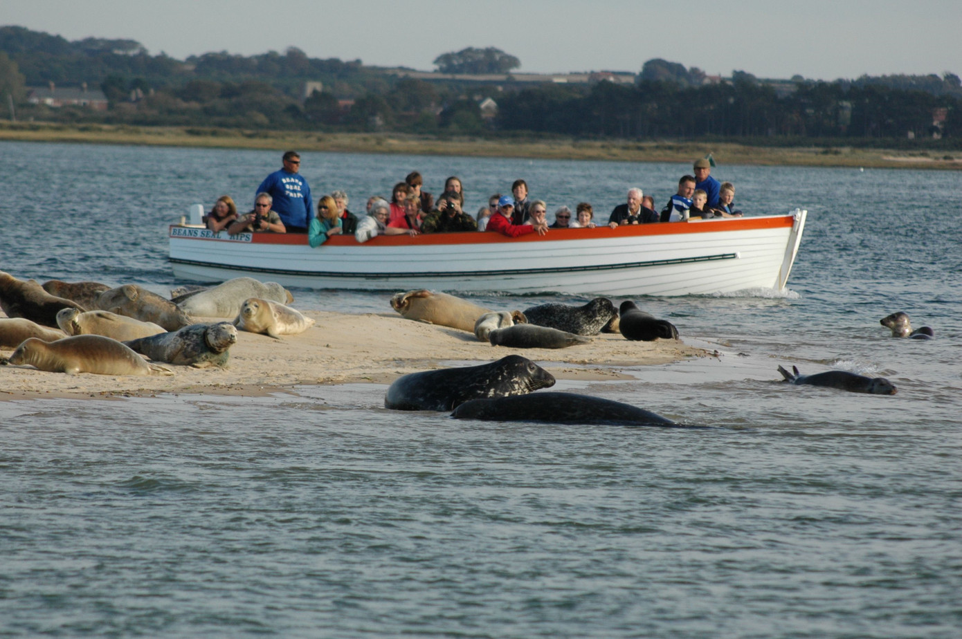 Ảnh: Visit North Norfolk.